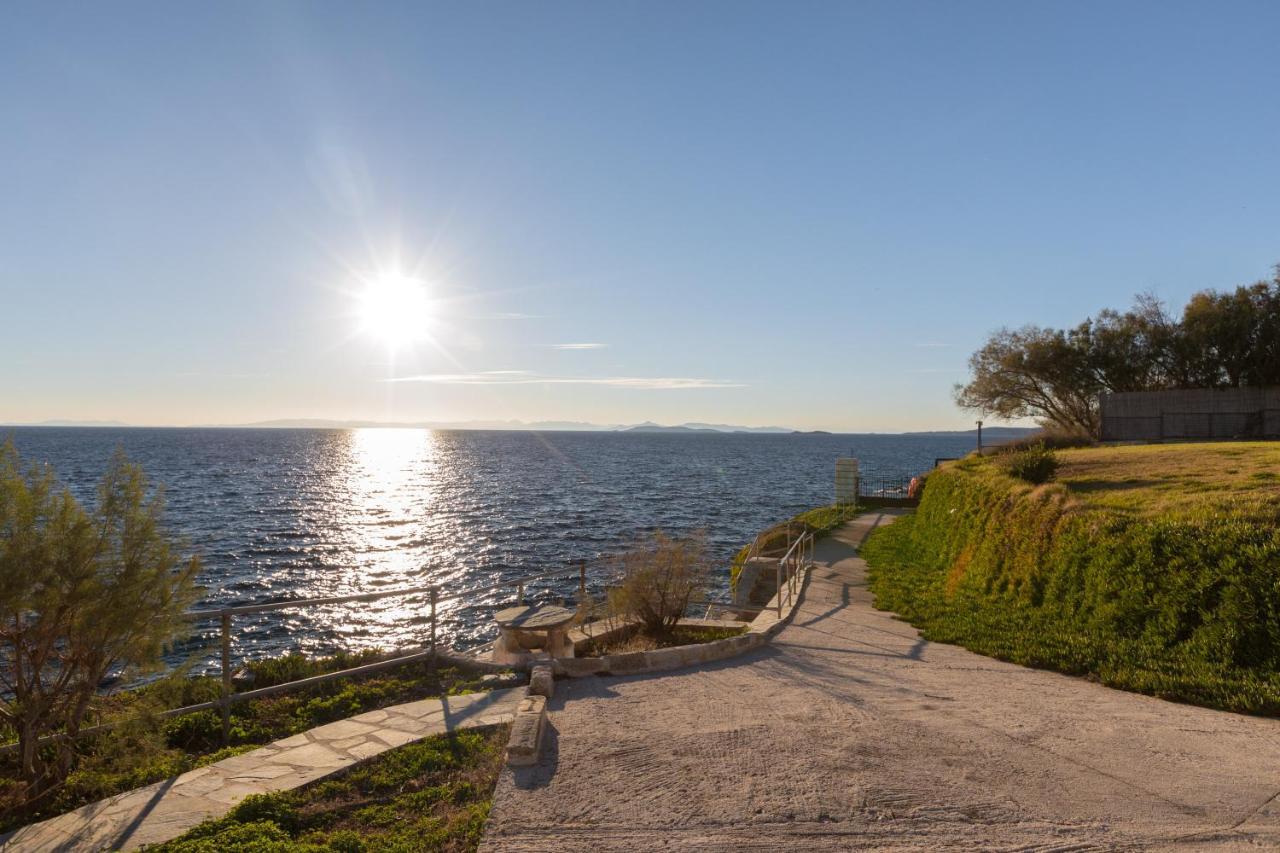 Luxurious Villa Philoxenia Lagonisi Eksteriør billede